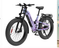 HiBoy EX11 full suspension