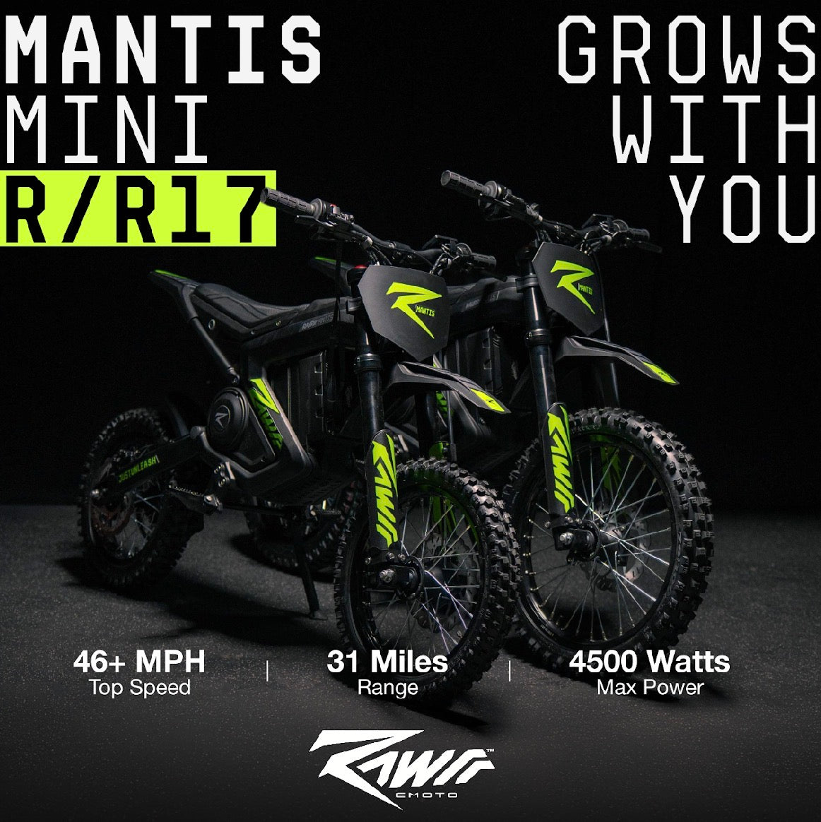 RAWRR Mini R
